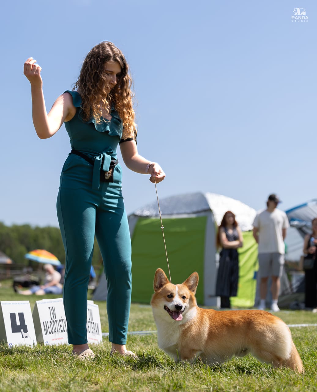 Rzeszów - XVIII Międzynarodowa Wystawa Psów Rasowych, 24.05.2026