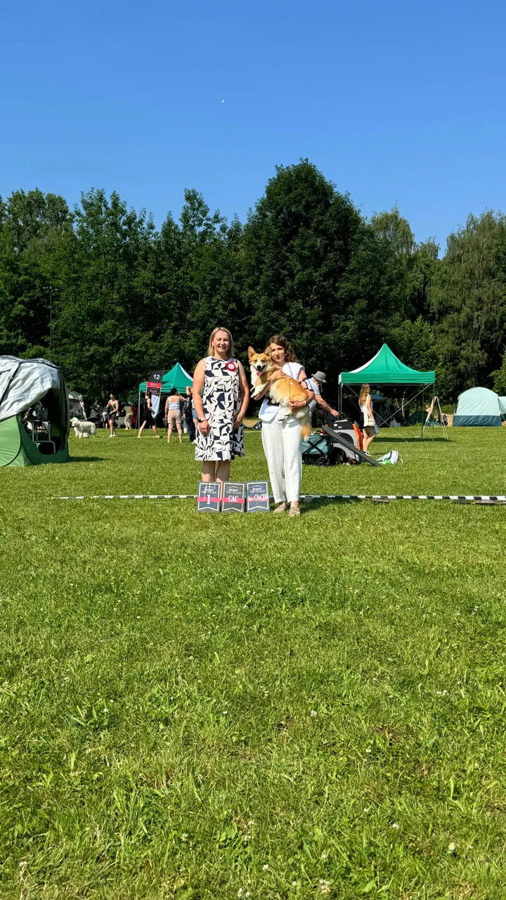 XXVIII Międzynarodowa Wystawa Psów Rasowych Kraków, 28.06.2026